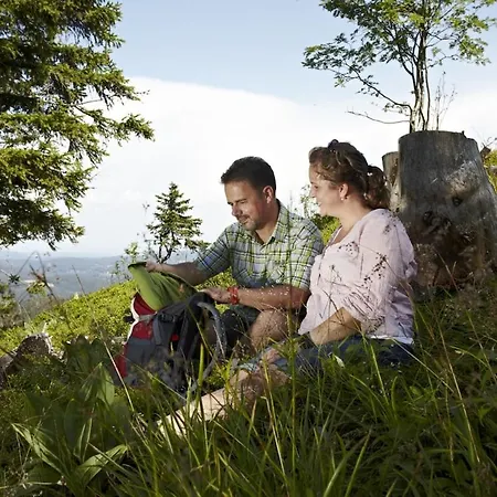 Apartamento Aussicht Auf Natur, Pool, Grill, Kino, Sauna *